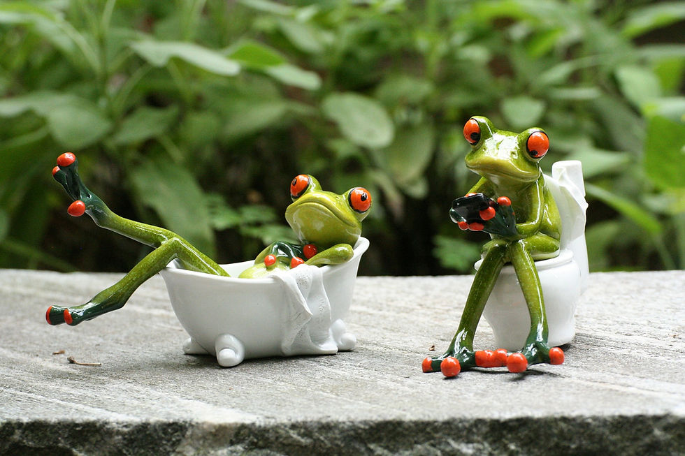Two frog using bathroom outdoor, one is using mobile phone. 