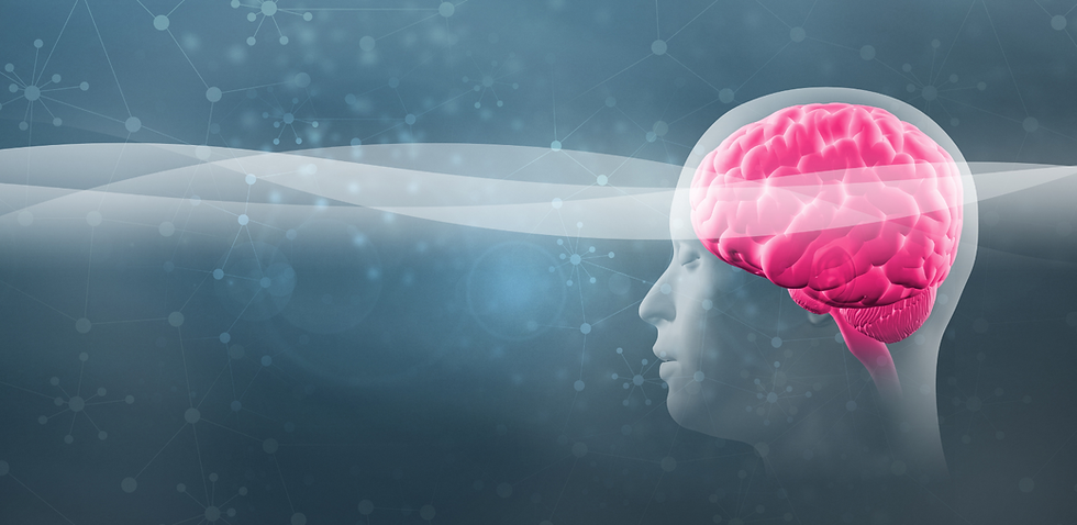 Human head exposing the brain in digital form. 