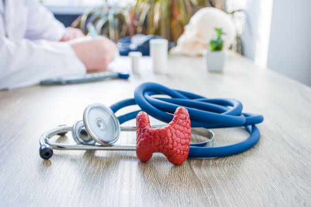 thyroid gland near stethoscope on table.