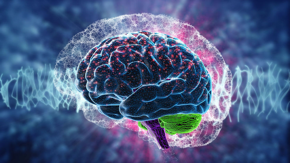human brain concept in blue and purple.