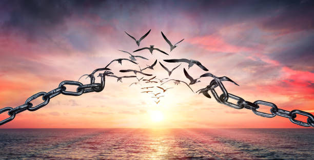 A Birds Flying And Broken Chains