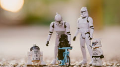 Family is Not a Business