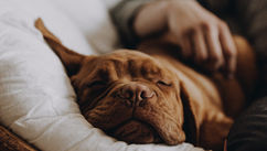 10 Quick Tips To Help You Get Out Of Bed Early