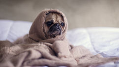 Millennial Mondays ‒ How To Deal With Monday Blues